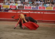 Decisión sobre consulta taurina es como una mordaza a los ciudadanos: Petro