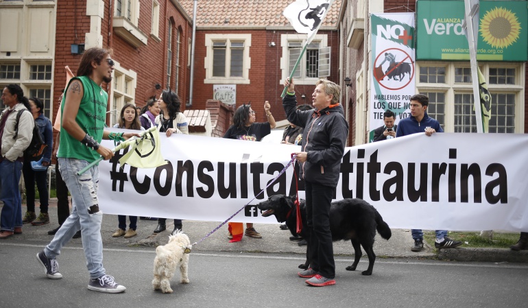 Consulta antitaurina: Los antitaurinos tendrían tres caminos para abolir las corridas de toros