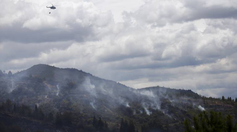 Fenomeno de El Niño Cultivos afectados Tolima: Miles de hectáreas afectadas por fenómeno de El Niño en el Tolima