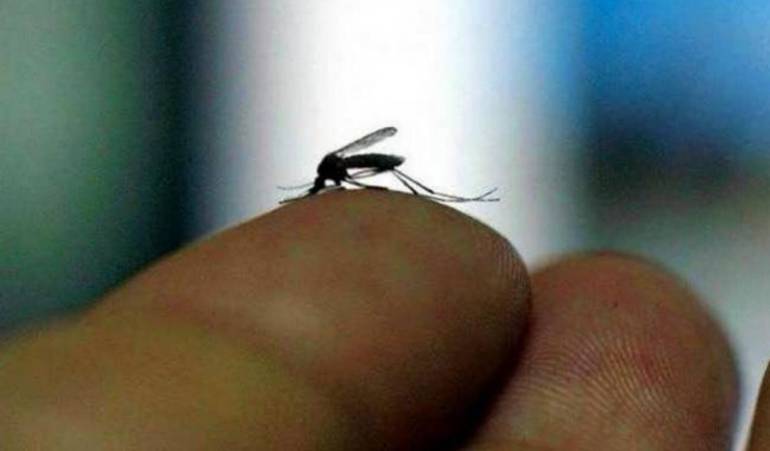 Confirman 32 casos del virus del Zika en San Andrés