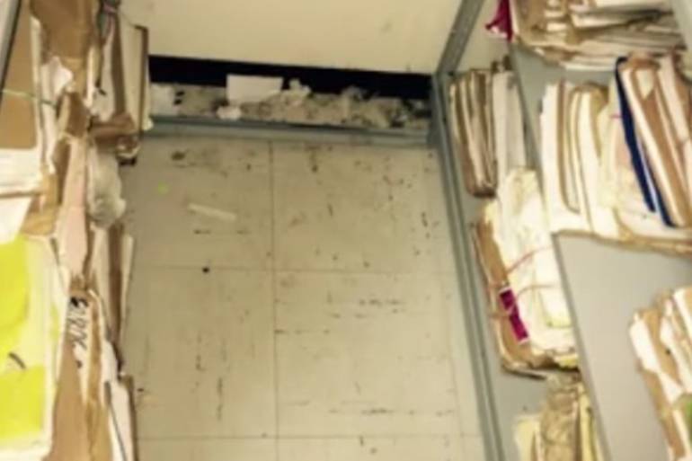Alertan de proliferación de roedores en Juzgados Laborales de Cartagena