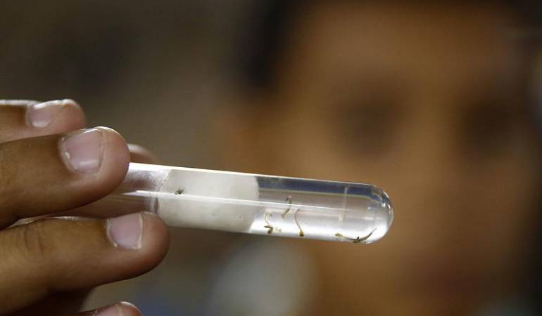 Zika en Colombia Córdoba: Confirman cuatro casos de Guillain - Barre en Córdoba