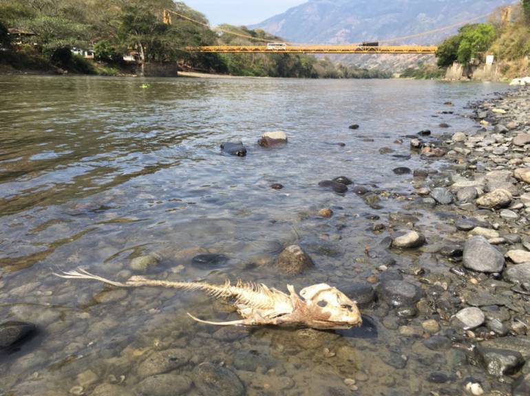 Sequía en el suroeste de Antioquia.
