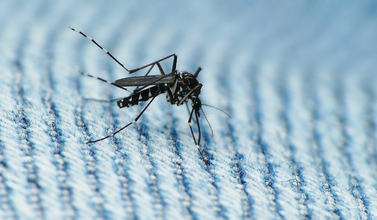 zika: Investigan posible caso de microcefalia en Cundinamarca: Investigan posible caso de microcefalia por zika en Cundinamarca