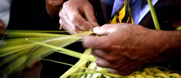 Elaborarán ramos ecológicos para proteger la palma de cera en Semana Santa en Boyacá: Elaborarán ramos ecológicos para proteger la palma de cera en Semana Santa en Boyacá