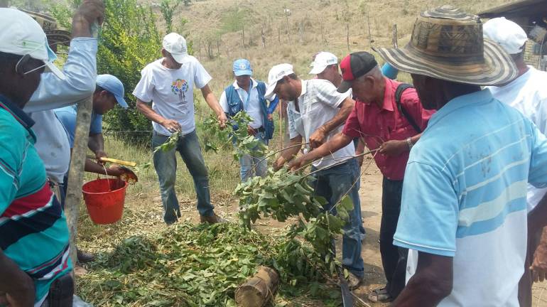 Al menos 42 mil familias campesinas a punto de perder sus viviendas por deudas con los bancos: Al menos 42 mil familias campesinas a punto de perder sus viviendas por deudas con los bancos