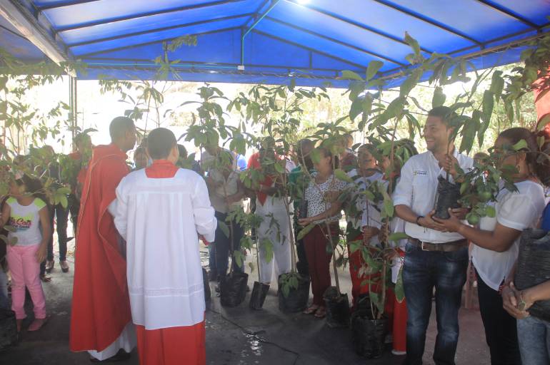 Se cumplió en Cartagena campaña “No arranques una rama, siembra un árbol”: Se cumplió en Cartagena campaña “No arranques una rama, siembra un árbol”