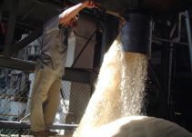 En el Valle bajan las exportaciones de azúcar a Febrero de 2016