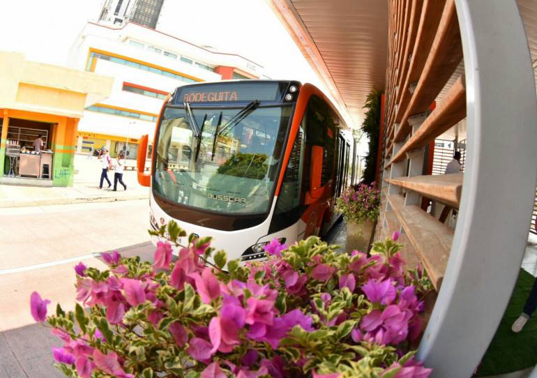 jardines verticales estaciones Transporte Masivo: Cartagena, pionera en jardines verticales en estaciones de Sistema de Transporte Masivo