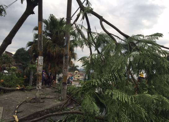 Vendaval en Pereira: Emergencia en Pereira y Dosquebradas por fuerte vendaval Vendaval en Pereira: Emergencia en Pereira y Dosquebradas por fuerte vendaval