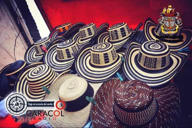El drama de la escasez de caña flecha para hacer sombreros vueltiaos