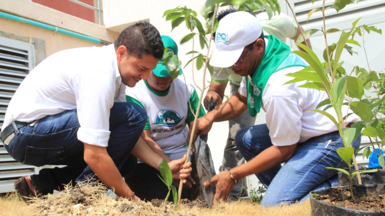 Siembran 250 árboles en celebración del Día de la Tierra de Cartagena