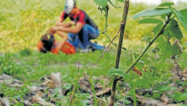 Investigan presunto abuso sexual a un niño en colegio de Bogotá