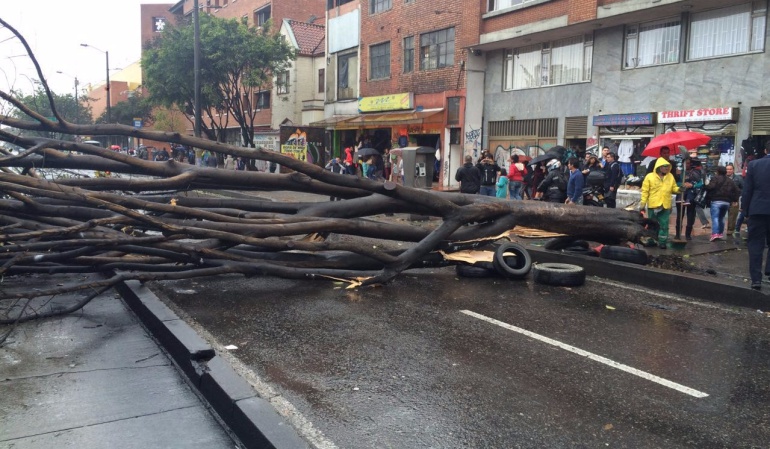 Arbol cayó en plena Avenida Caracas