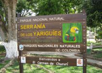 Desmantelan banda que traficaba madera extraida de la serranía de los Yariguíes