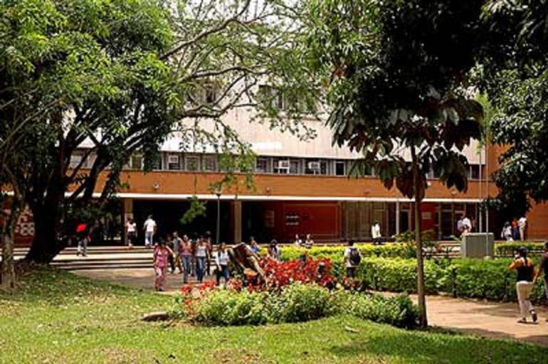 Universidad del Valle: Univalle con caletas, cultivos de marihuana y microtráfico
