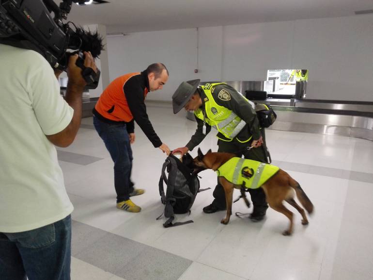 Tráfico Fauna Silvestre: "Karim" el perro que evita el tráfico de fauna silvestre en el Valle