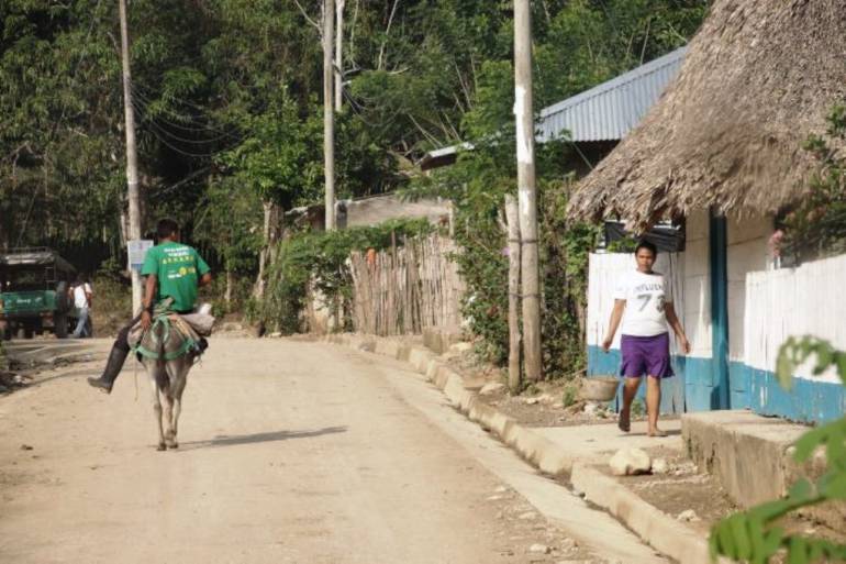 Académicos de Bolívar analizan el anuncio del fin del conflicto: Observatorios académicos de Bolívar celebraron el anuncio del cese al fuego denifitivo con las FARC