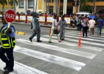 Retoman campaña para uso de cebras en Cartagena