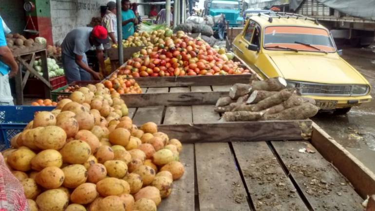 Dejan de ingresar 100 toneladas de frutas a Barranquilla