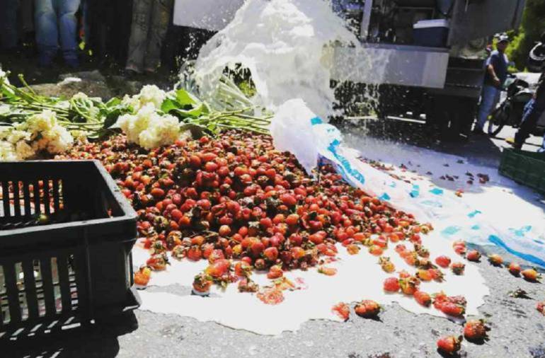 Frutas: Marcha de cultivadores de frutas afectados por paro
