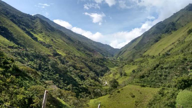 Bandas delincuenciales están ocupando territorio que abandonó las Farc en Antioquia