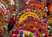 Mayores de 40 sin vacunarse no podrán ingresar a la Feria de las Flores