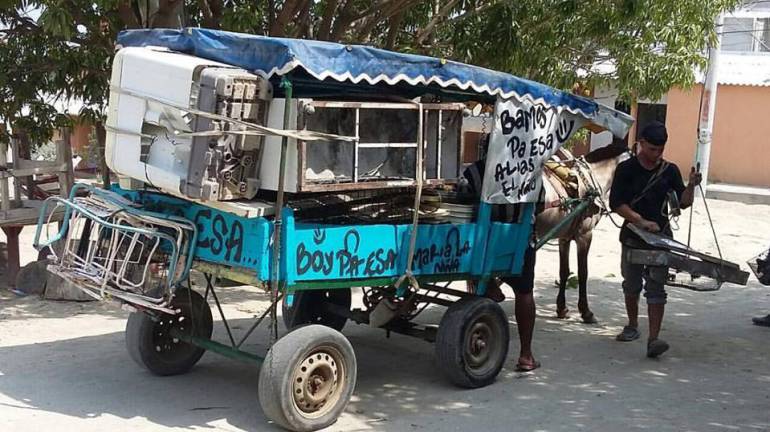 Animalistas alertan sobre abuso sexual a gatos en Santa Marta