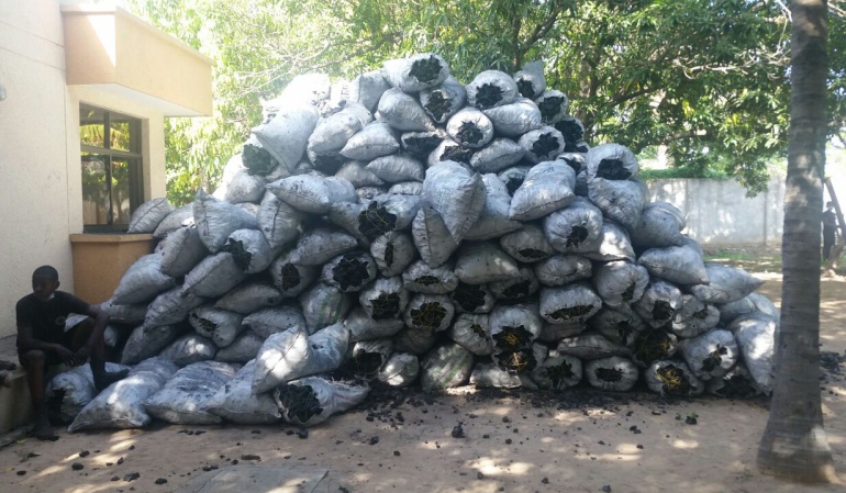 Carbon ilegal en Riohacha: Inmovilizan dos tractocamiones cargados con carbón vegetal en La Guajira