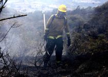 Fue controlado el incendio forestal en el páramo de Pisba Boyacá