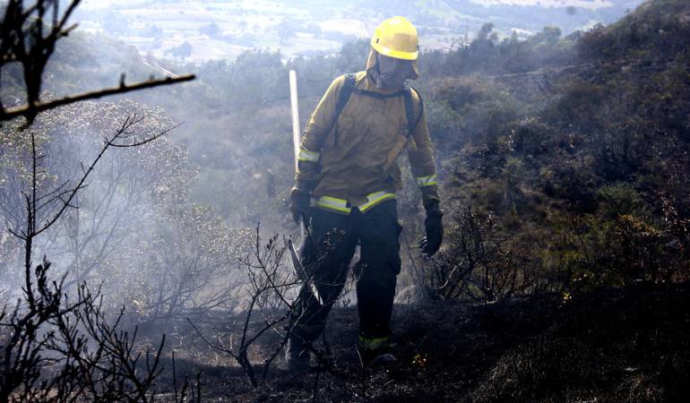 En tragedia ambiental terminó incendio cerca al páramo de Pisba en Boyacá: En tragedia ambiental terminó incendio cerca al páramo de Pisba en Boyacá