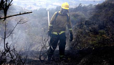 Piden apoyo aéreo para apagar incendio forestal en bosque de Paipa, Boyacá