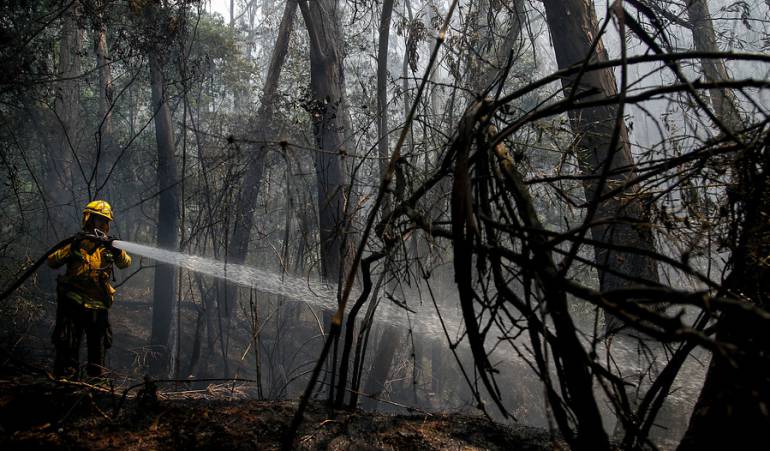 Incendios forestales Huila: Emergencia en Huila por incendios forestales