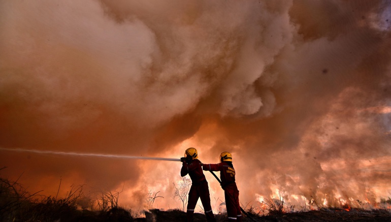 Advierten alerta máxima por verano e incendios forestales en Boyacá: Advierten alerta máxima por verano e incendios forestales en Boyacá