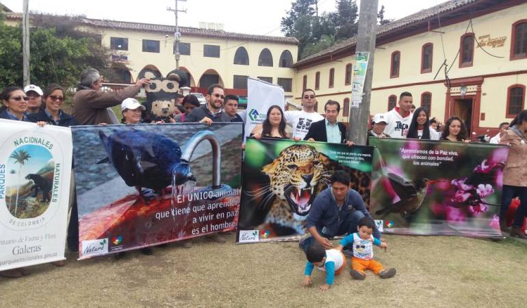 Asesinato de oso de anteojos en Nariño: Plantón por muerte de oso de anteojos en Nariño