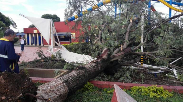 Emergencia en el Parque de la Caña: Un muerto y cerca de 30 heridos dejó la caída de un árbol en el Parque de la Caña