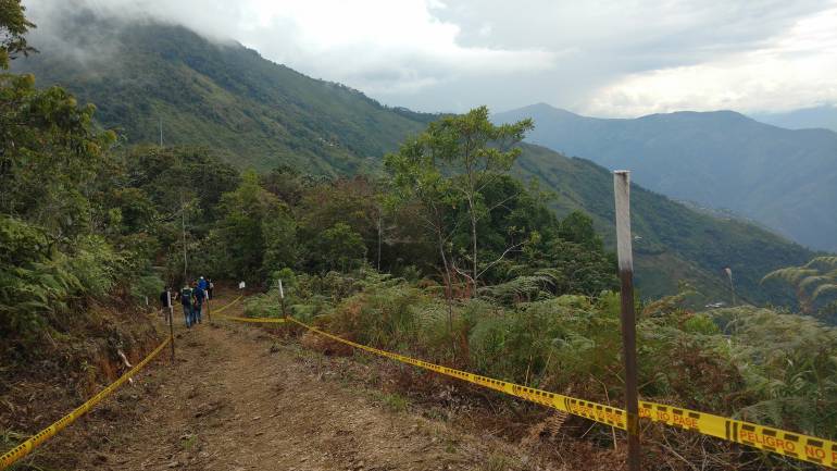 En Orejón, Antioquia, preocupa futuro de la sustitución de cultivos ... - Caracol Radio