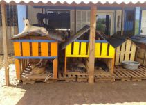 Denuncian ataques de vecinos a fundación animalista en Turbaco, Bolívar