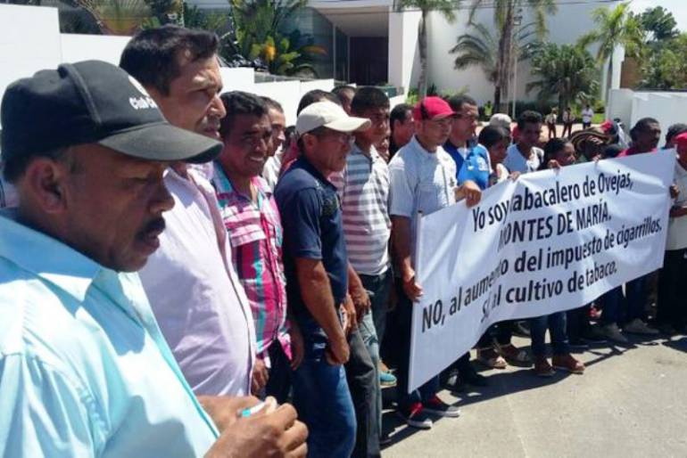 Tabacaleros de Montes de María protestaron en Cartagena contra reforma tributaria: Tabacaleros de Montes de María protestaron en Cartagena contra reforma tributaria