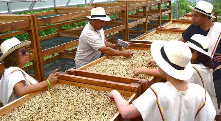 Ya están comprando la carga de café por encima del millón de pesos en todo el país