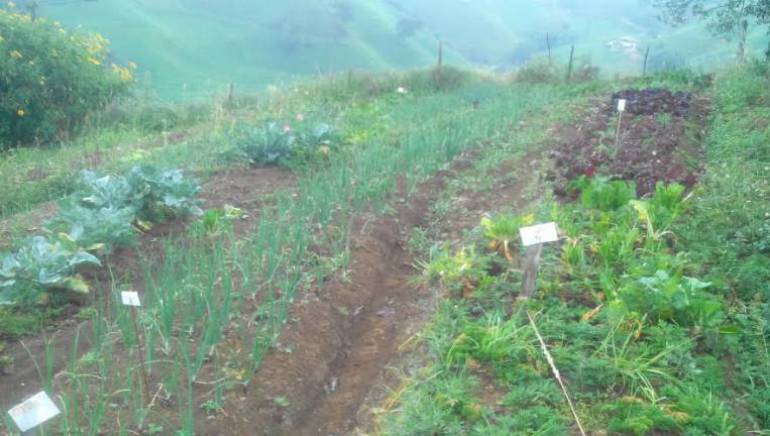 El invierno comienza a destruír cultivos en Boyacá: El invierno comienza a destruír cultivos en Boyacá