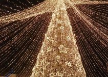 Todos disfrutan del alumbrado navideño de Cartagena