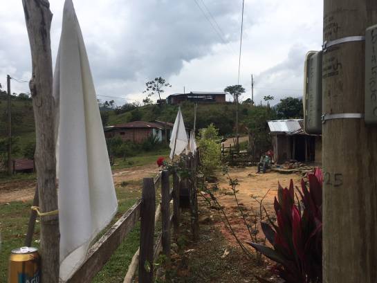 farc concentración: Con comodidades guerrilleros esperan órdenes de concentración en Antioquia farc concentración: Con comodidades guerrilleros esperan órdenes de concentración en Antioquia