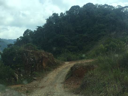 farc concentración: Con comodidades guerrilleros esperan órdenes de concentración en Antioquia farc concentración: Con comodidades guerrilleros esperan órdenes de concentración en Antioquia