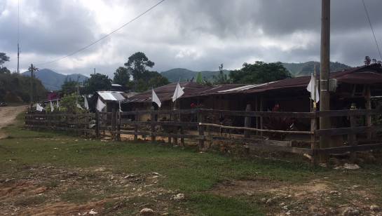 farc concentración: Con comodidades guerrilleros esperan órdenes de concentración en Antioquia farc concentración: Con comodidades guerrilleros esperan órdenes de concentración en Antioquia