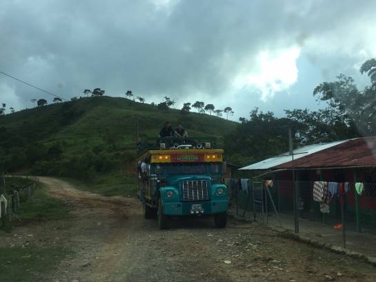 farc concentración: Con comodidades guerrilleros esperan órdenes de concentración en Antioquia farc concentración: Con comodidades guerrilleros esperan órdenes de concentración en Antioquia