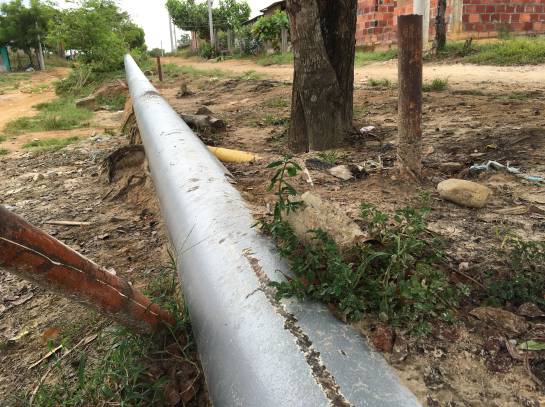 Catatumbo zona de concentración de las Farc: ‘Pate grillo’, el negocio ‘desorbitado' en Catatumbo Catatumbo zona de concentración de las Farc: ‘Pate grillo’, el negocio ‘desorbitado' en Catatumbo