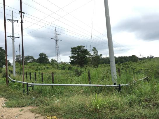 Catatumbo zona de concentración de las Farc: ‘Pate grillo’, el negocio ‘desorbitado' en Catatumbo Catatumbo zona de concentración de las Farc: ‘Pate grillo’, el negocio ‘desorbitado' en Catatumbo