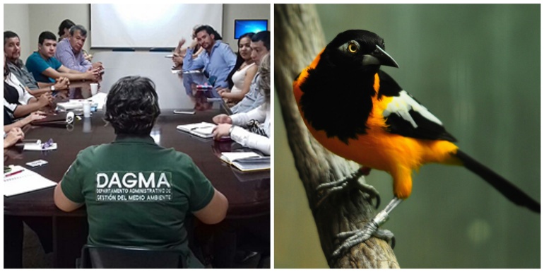 Se creó Mesa de Turismo de Naturaleza del Valle del Cauca: U. Autónoma lideró proyecto para fomentar turismo de naturaleza en el Valle