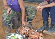 Por estrés e irregular alimentación guerrilleros de las Farc tienen quebrantos de salud